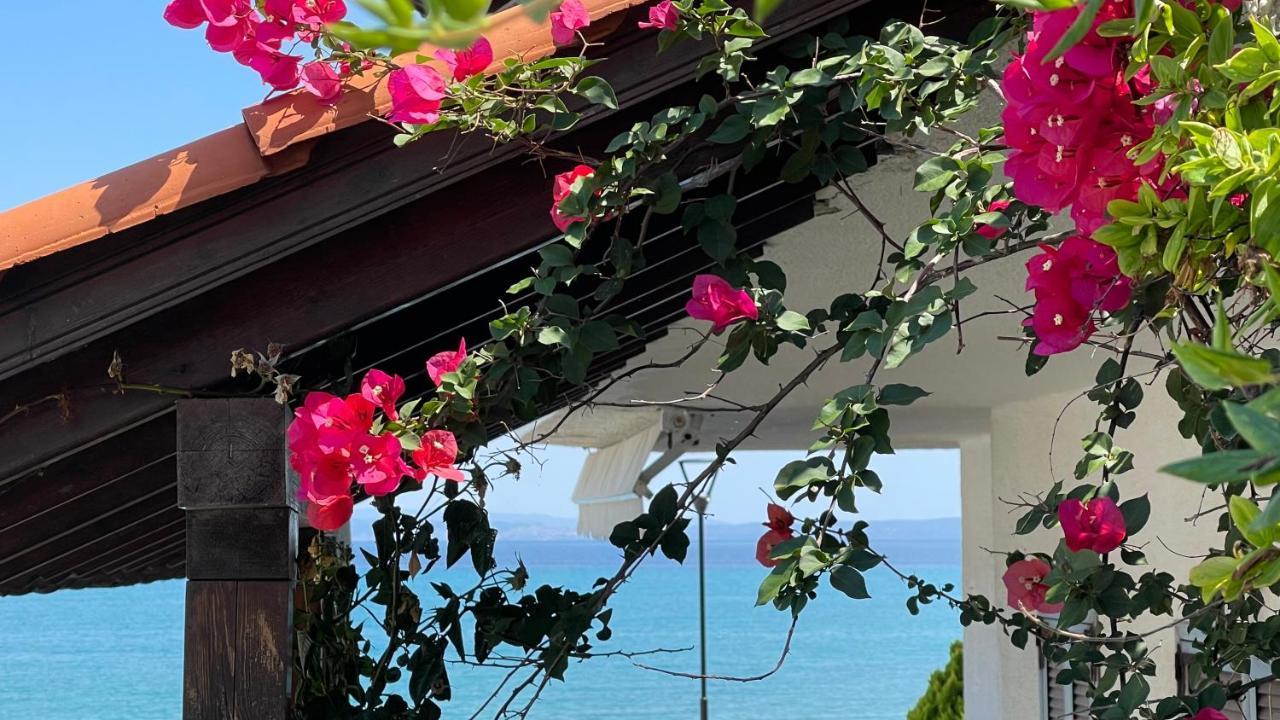 Paralia Pefkohori Apartments Esterno foto